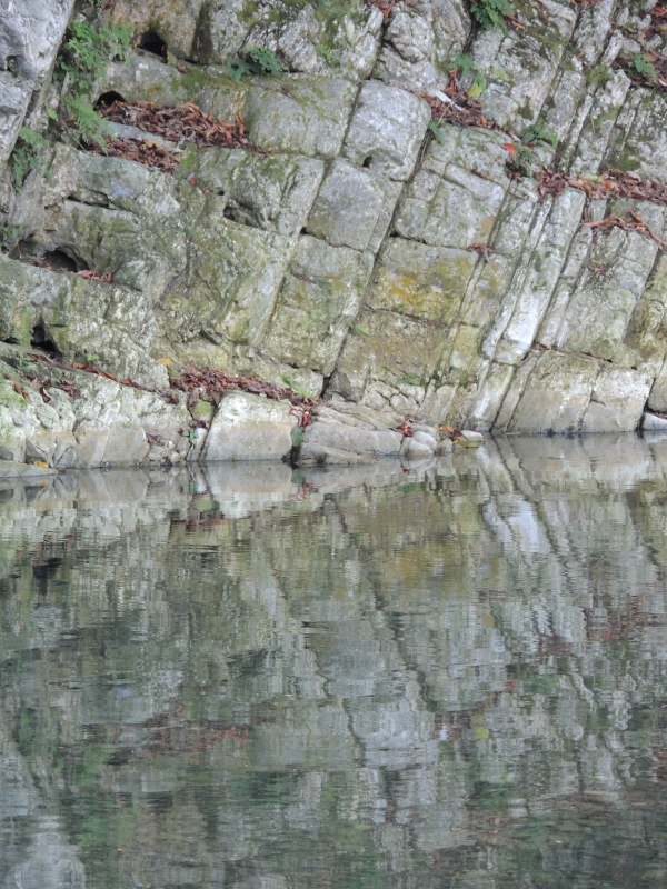 Buff Bay River, Reflections 2