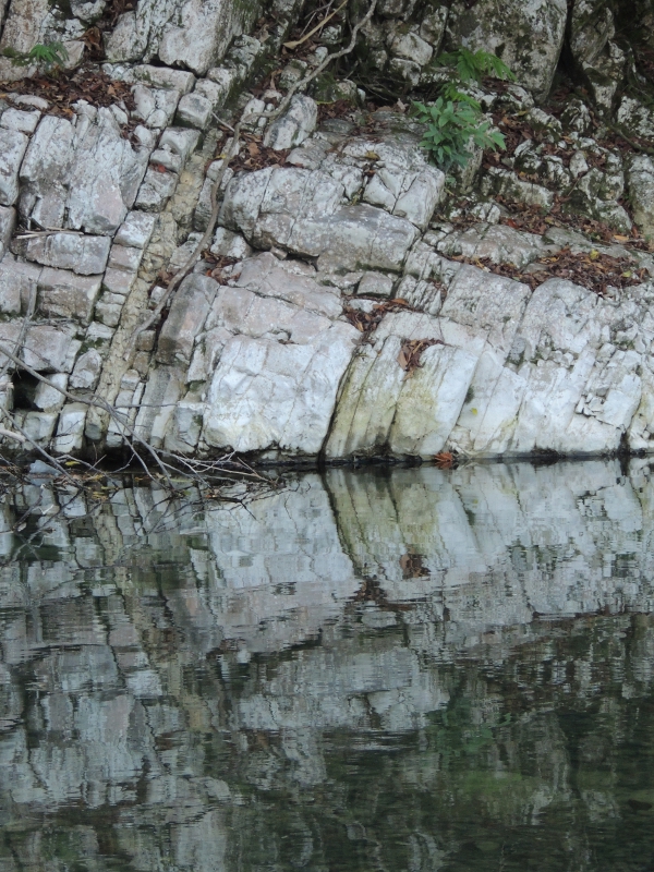 Buff Bay River, Reflections 4